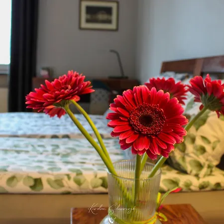 Centrum Panorama Zlota 81 Street Centre By Gi4 Appartement Warschau